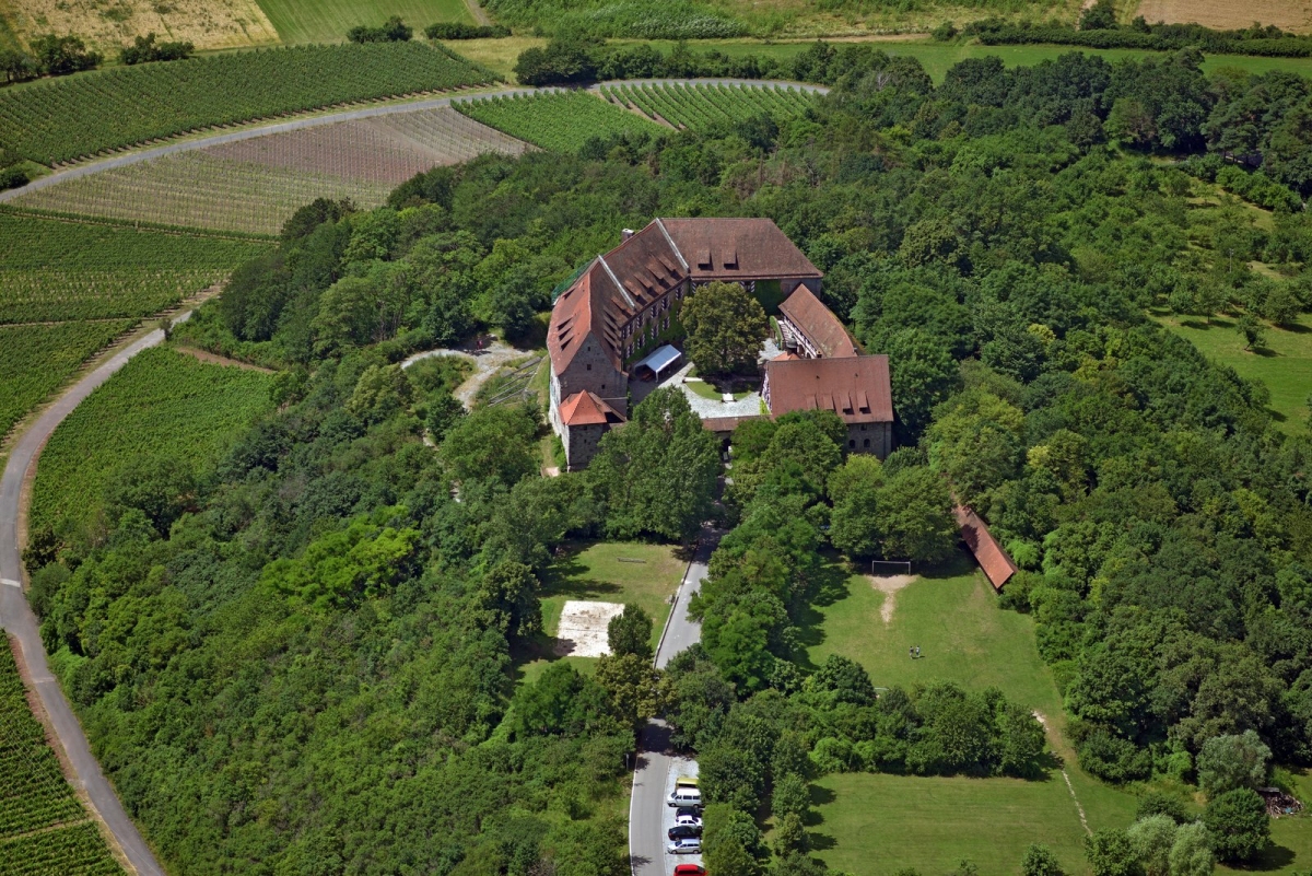 Luftbild Burg Hoheneck