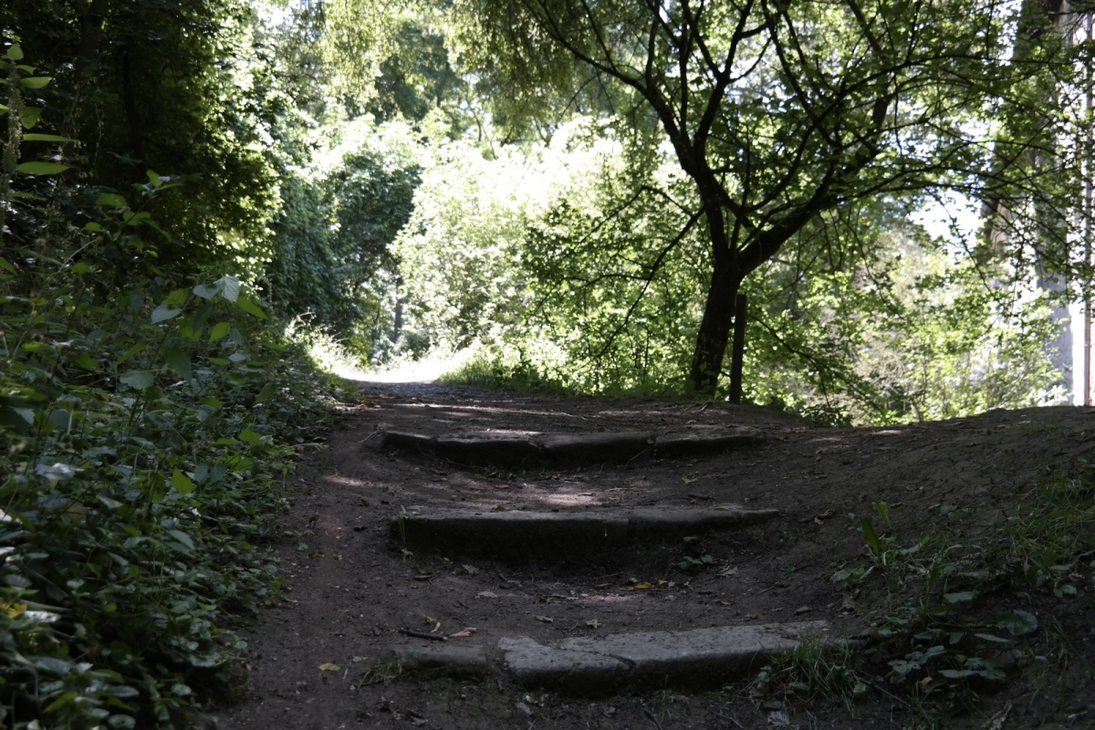 Bewaldeter Weg zur Burg Hoheneck