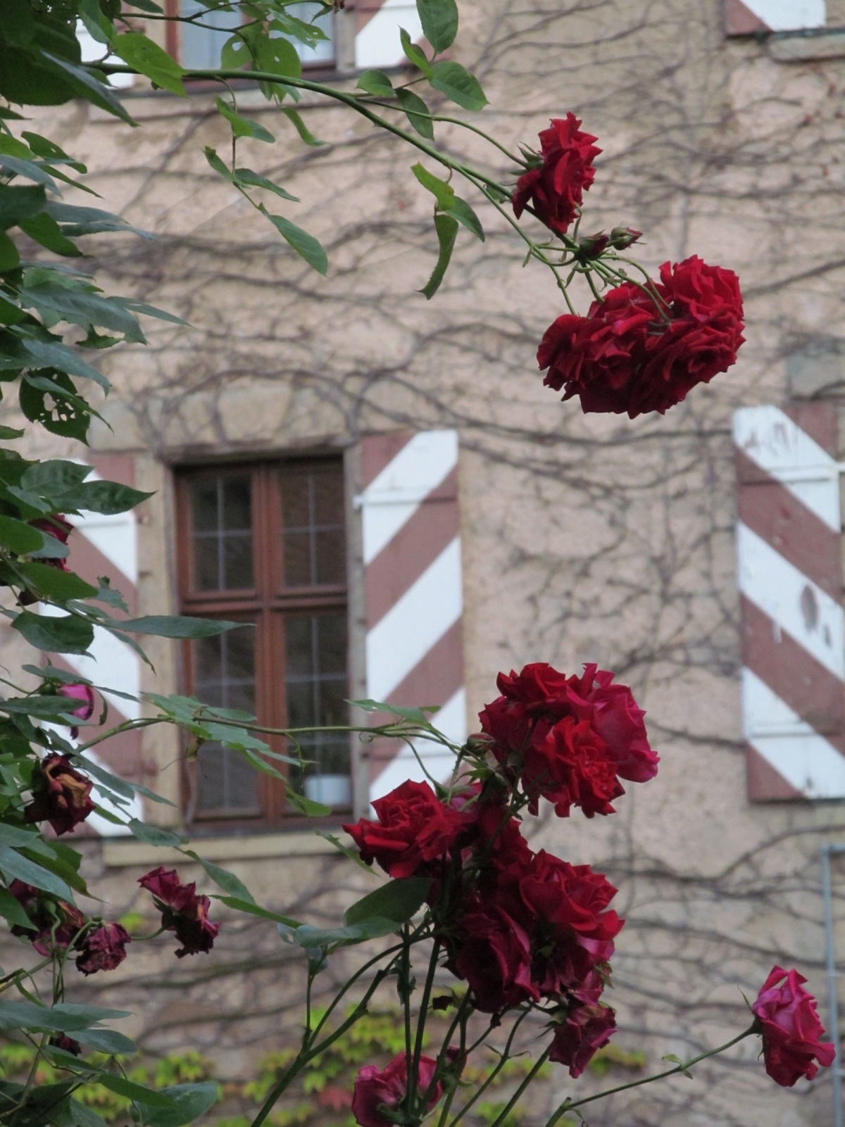 Detailaufnahme Fassade