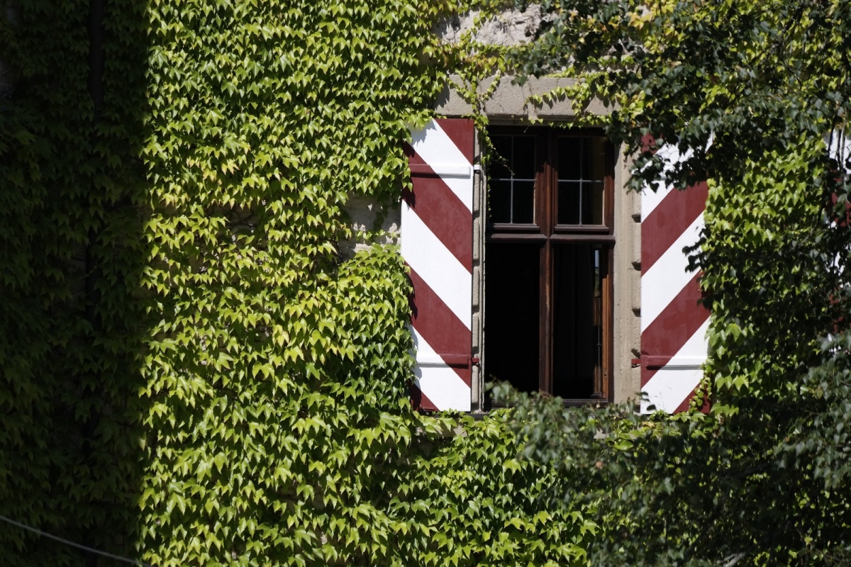 Detailaufnahme Fester