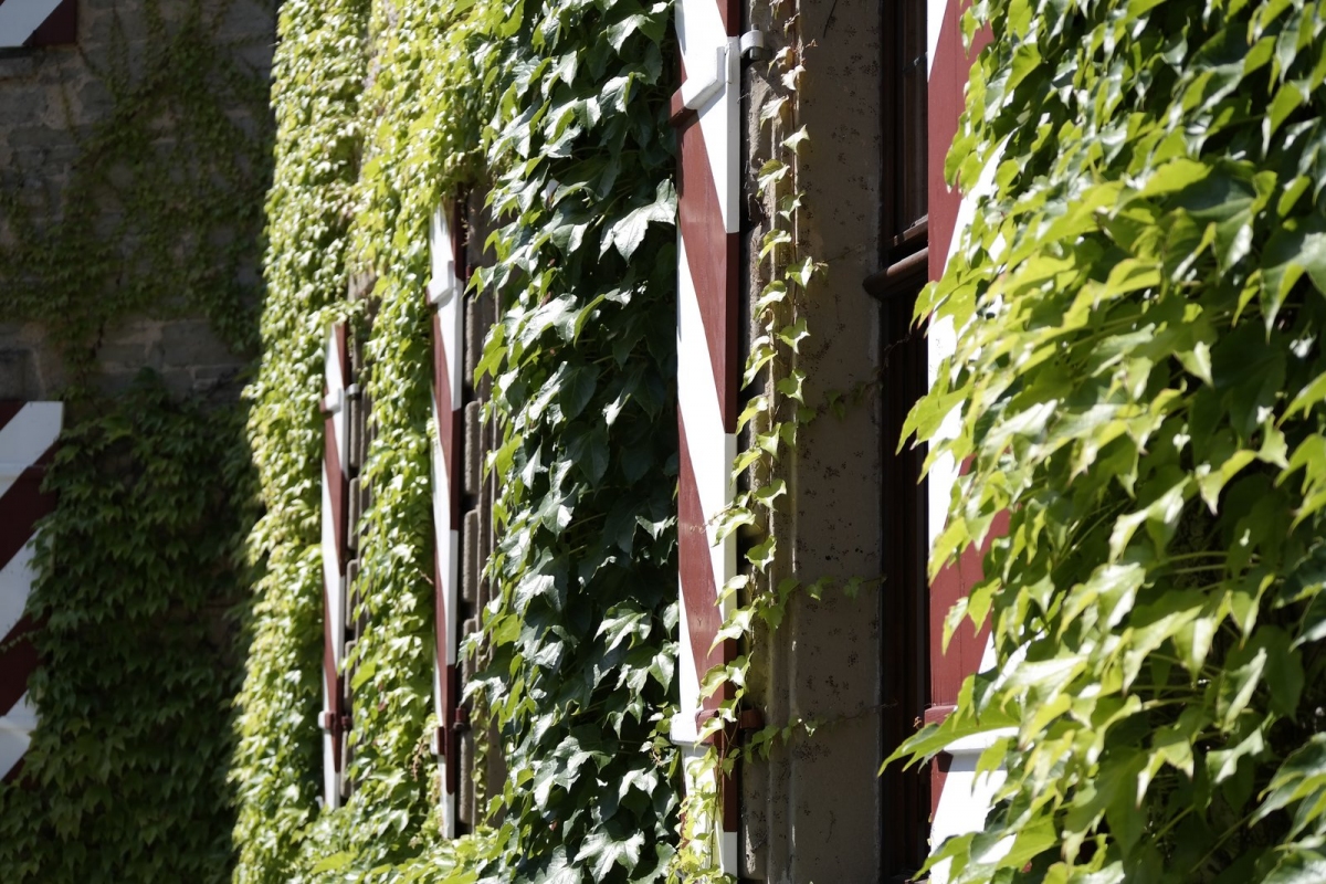 Detailaufnahme Fassade