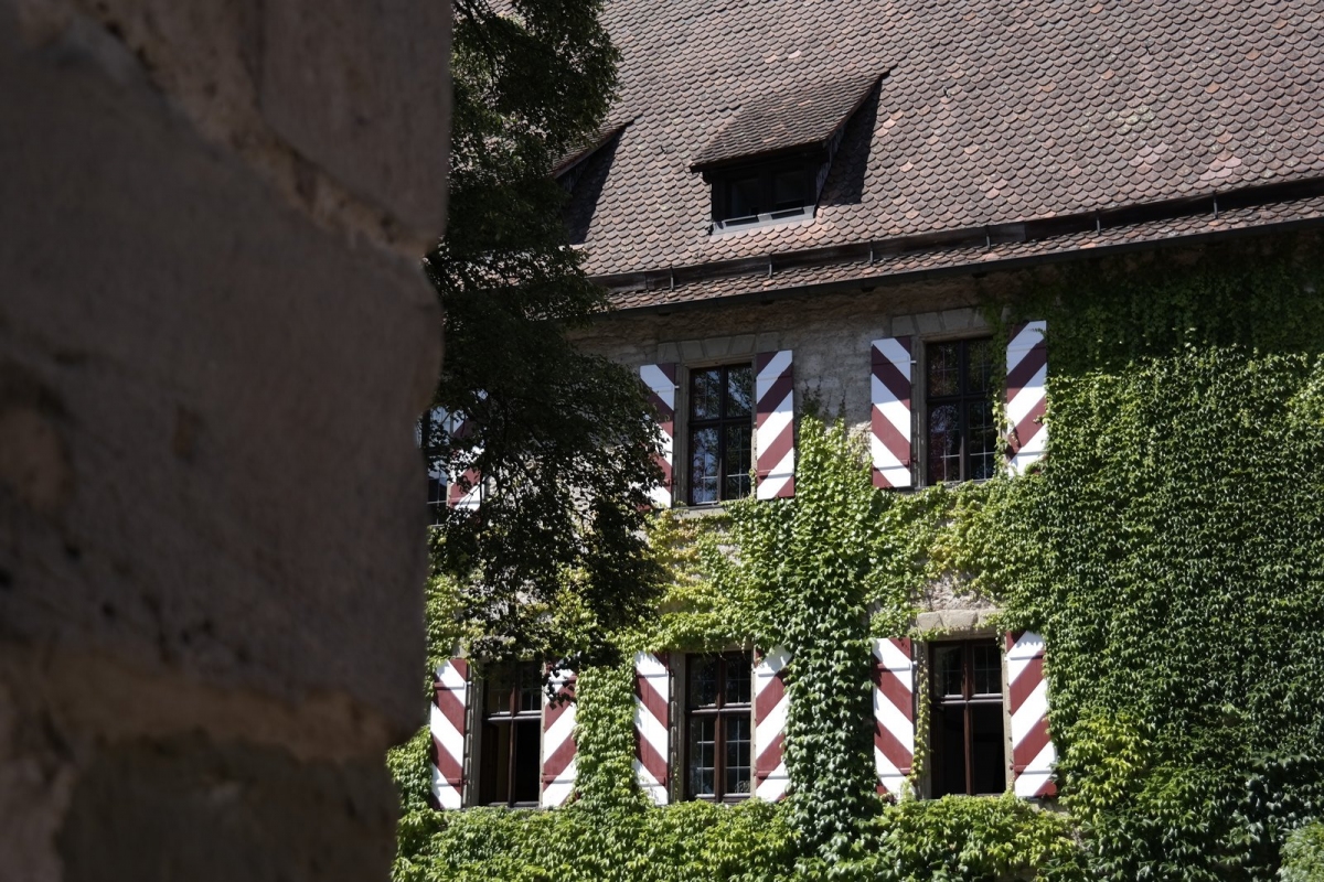 Detailaufnahme Fassade