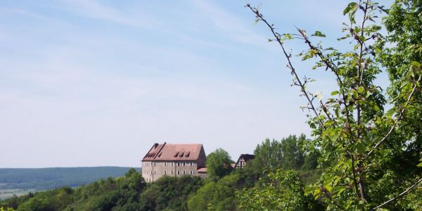 Blick auf Burg vom Weinberg